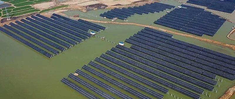  赵立坚微博点赞渔光互补模式M88科技滁州项目再受关注