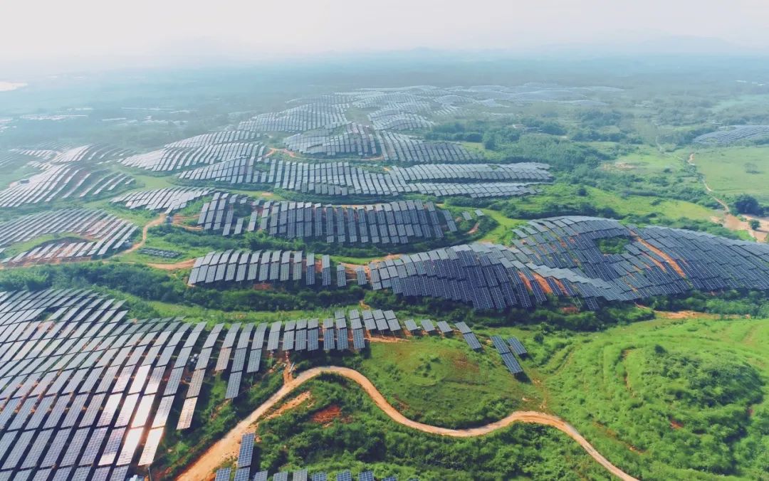 300MW！M88科技广东农垦红十月农场农光互补项目满发并网